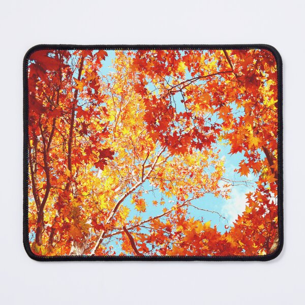 Item preview, The Colours Of Autumn designed and sold by VMKPhotography.