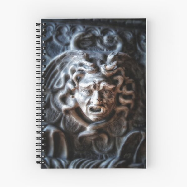Item preview, Madusa's Head [Versaille Vase] designed and sold by MasterJames.