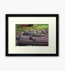 Reptile. Framed Print