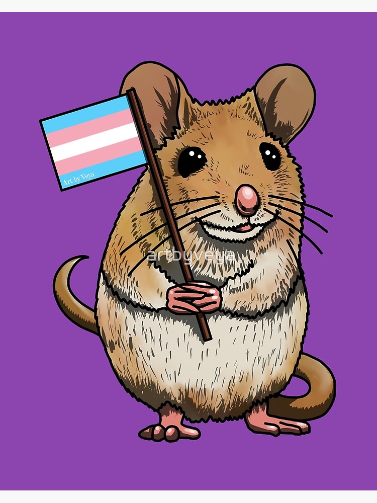 Trans pride | Art Board Print