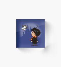 Wrong Bird Acrylic Block