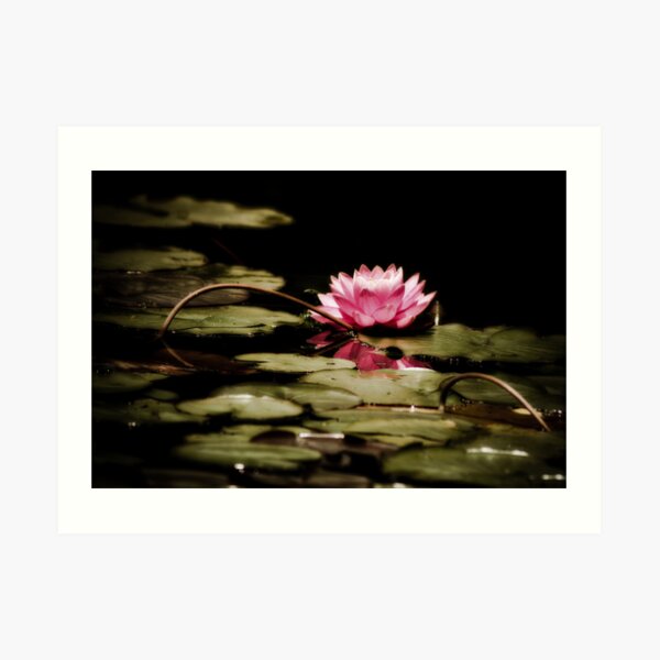 Untitled Art Print