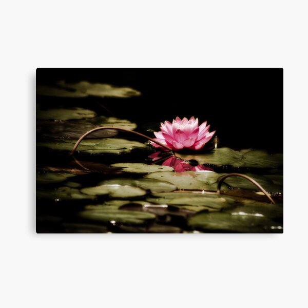 Untitled Canvas Print