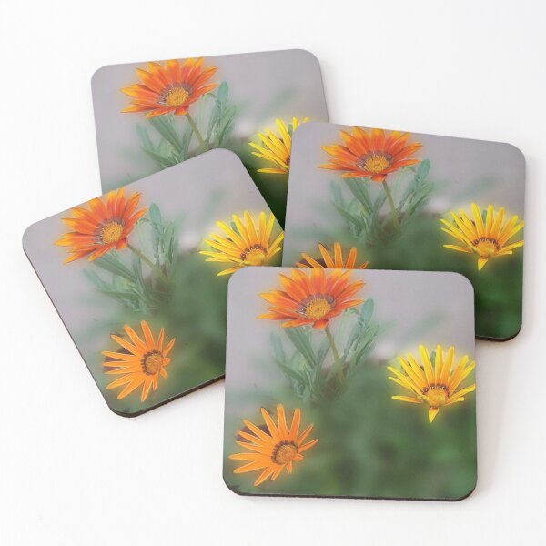 Item preview, 3 Gazanias African Daisy Orange & Yellow Flowers designed and sold by DianeBP.