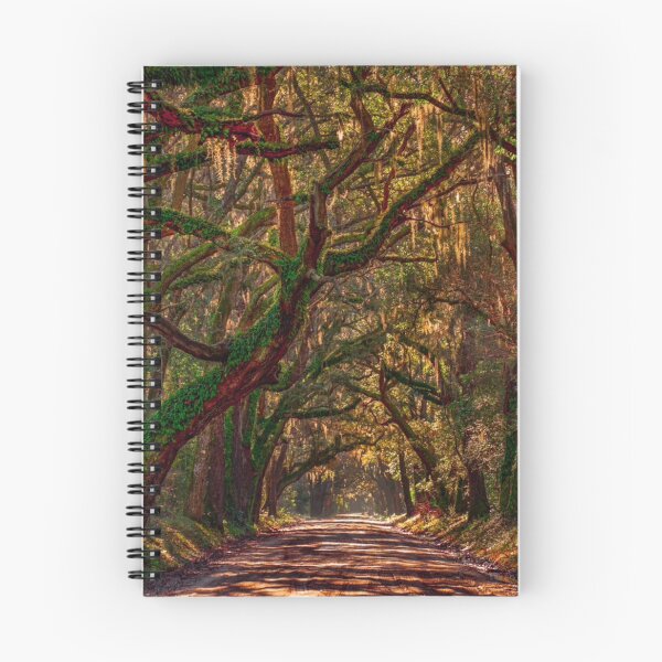 Item preview, Low Country Magic designed and sold by Wandershotphoto.