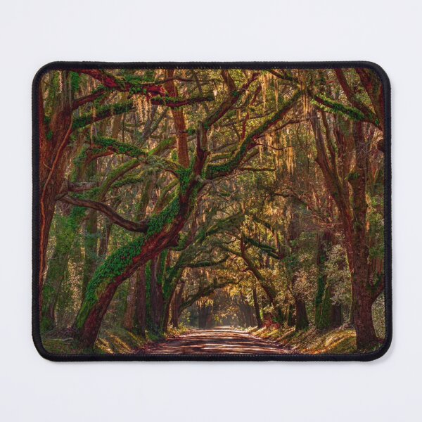 Item preview, Low Country Magic designed and sold by Wandershotphoto.