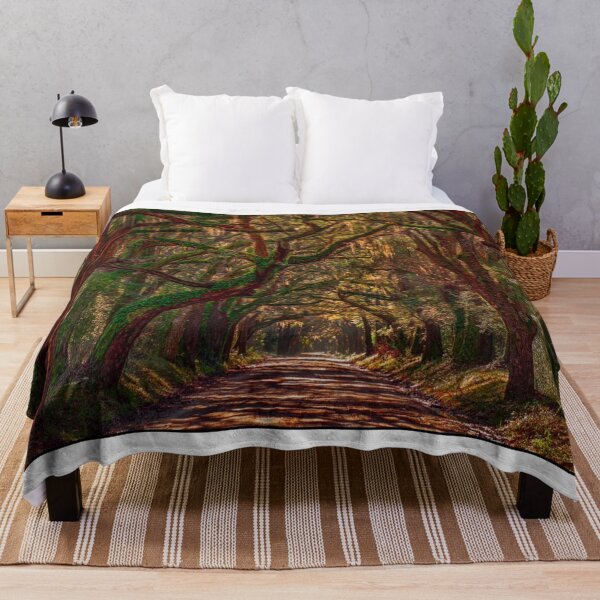 Item preview, Low Country Magic designed and sold by Wandershotphoto.