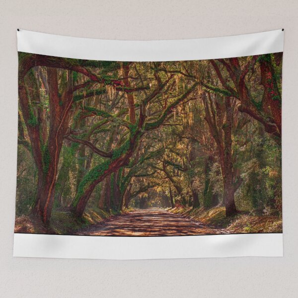 Item preview, Low Country Magic designed and sold by Wandershotphoto.