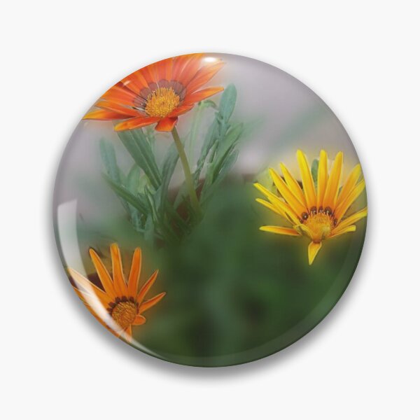 Item preview, 3 Gazanias African Daisy Orange & Yellow Flowers designed and sold by DianeBP.