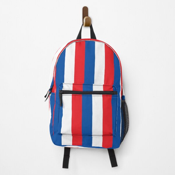 Item preview, Official National Flag of France designed and sold by drsaver.