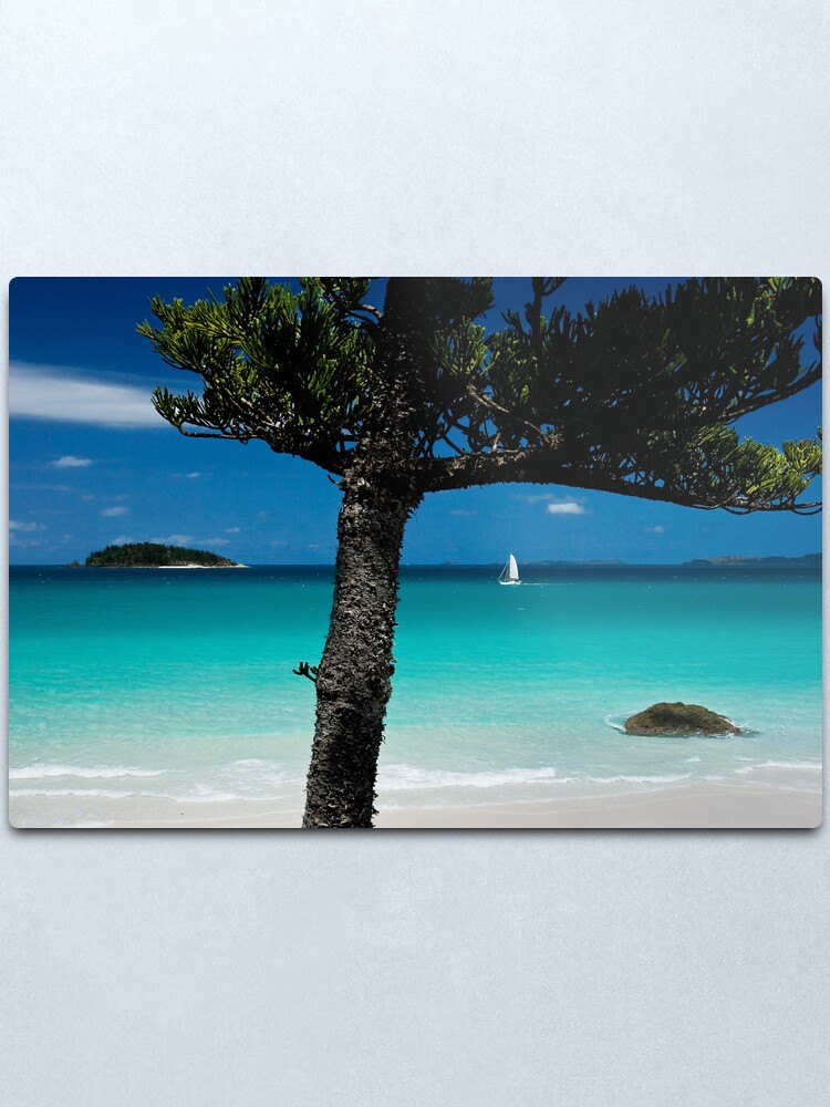 Alternate view of Hoop Pine Vista Metal Print