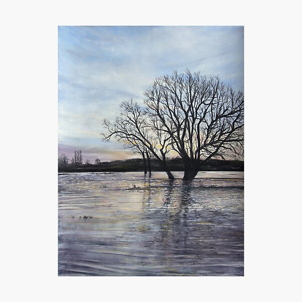 Item preview, Floods designed and sold by Alexandra Lavizzari.