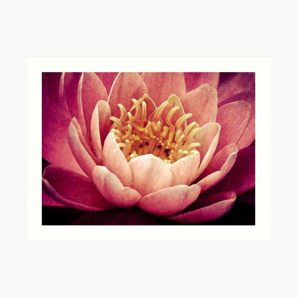 Burst Art Print