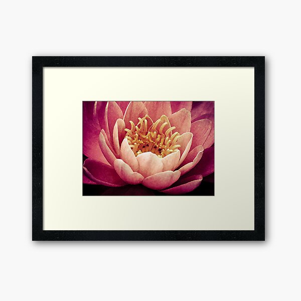 Burst Framed Art Print