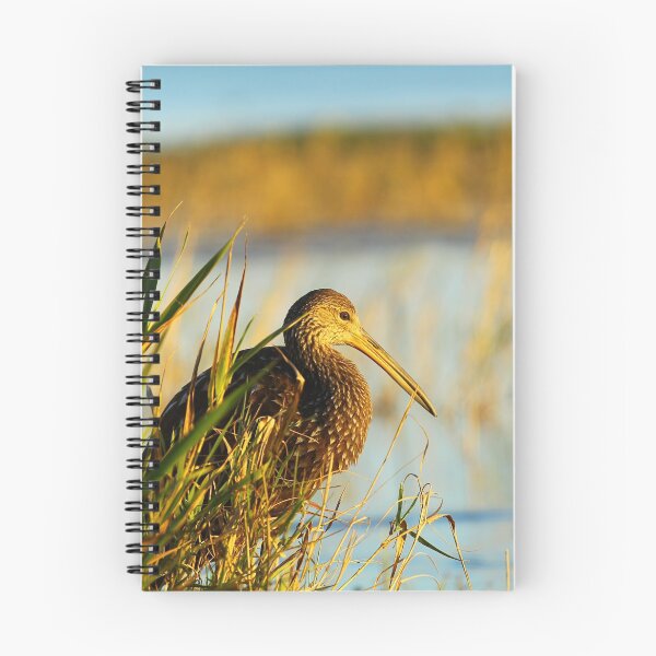 Item preview, Limpkin designed and sold by Howard S Taylor.