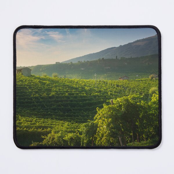 Item preview, Vineyards of Prosecco at sunset. Valdobbiadene, Veneto region, Italy designed and sold by Stefano Orazzini.