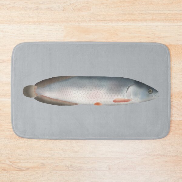 Item preview, African Bonytongue designed and sold by fishfolkart.