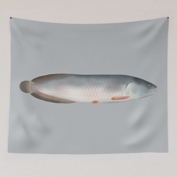 Item preview, African Bonytongue designed and sold by fishfolkart.