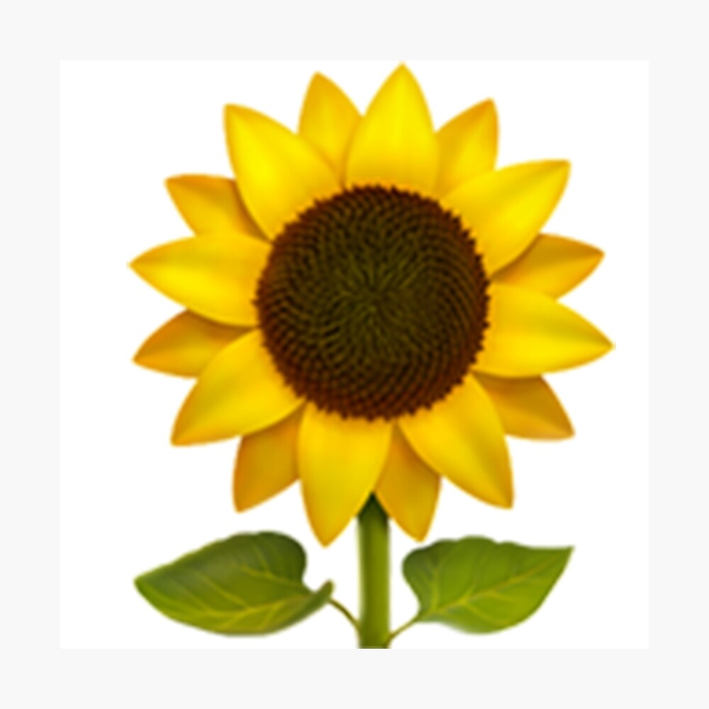 Lista 20+ Foto que significa el emoji de girasol El último