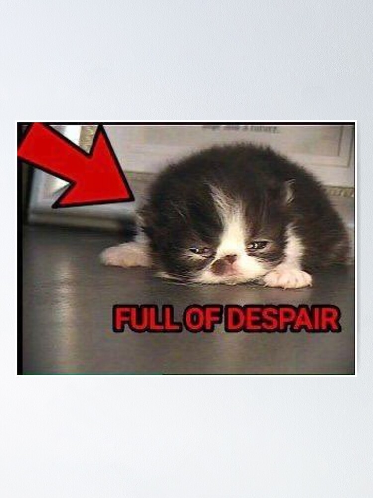 Full of despair cat meme Poster for Sale by CuteCatsLol