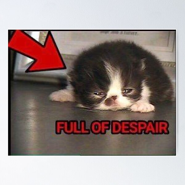 Full of despair cat meme Poster for Sale by CuteCatsLol