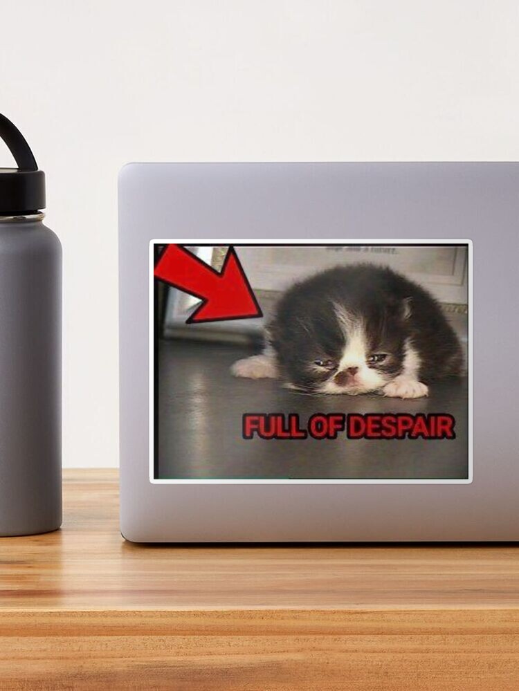 Full of despair cat meme Poster for Sale by CuteCatsLol