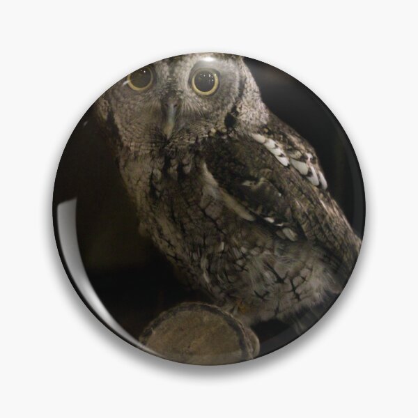 Item preview, Eastern screech owl (Megascops asio) designed and sold by granolagracie.