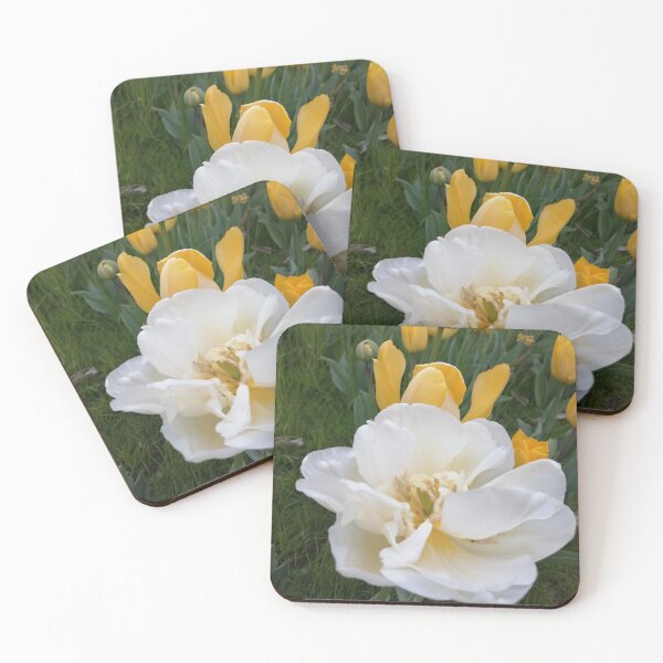 Item preview, Spring Flower tulip yellow meadow  designed and sold by marghe41.
