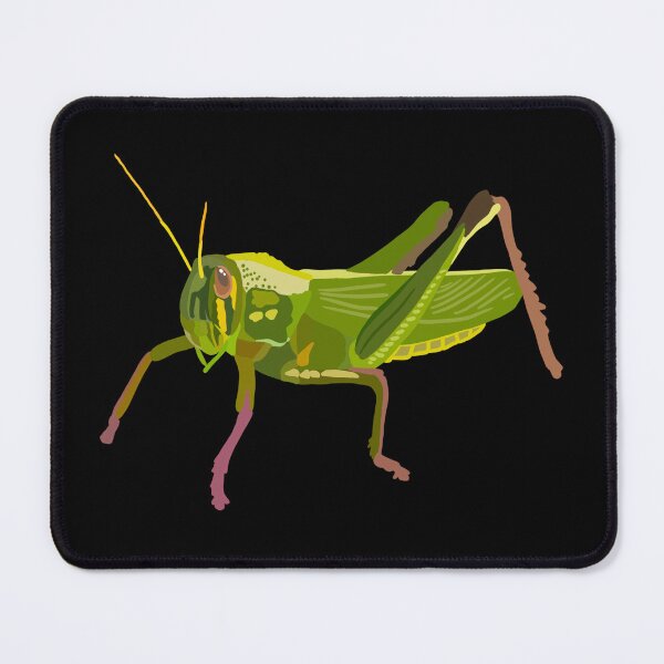Item preview, G is for Grasshopper,Grasshopper Illustration – Vibrant Insect Art for Nature and Wildlife Lovers designed and sold by PrettylittlepastelUk.