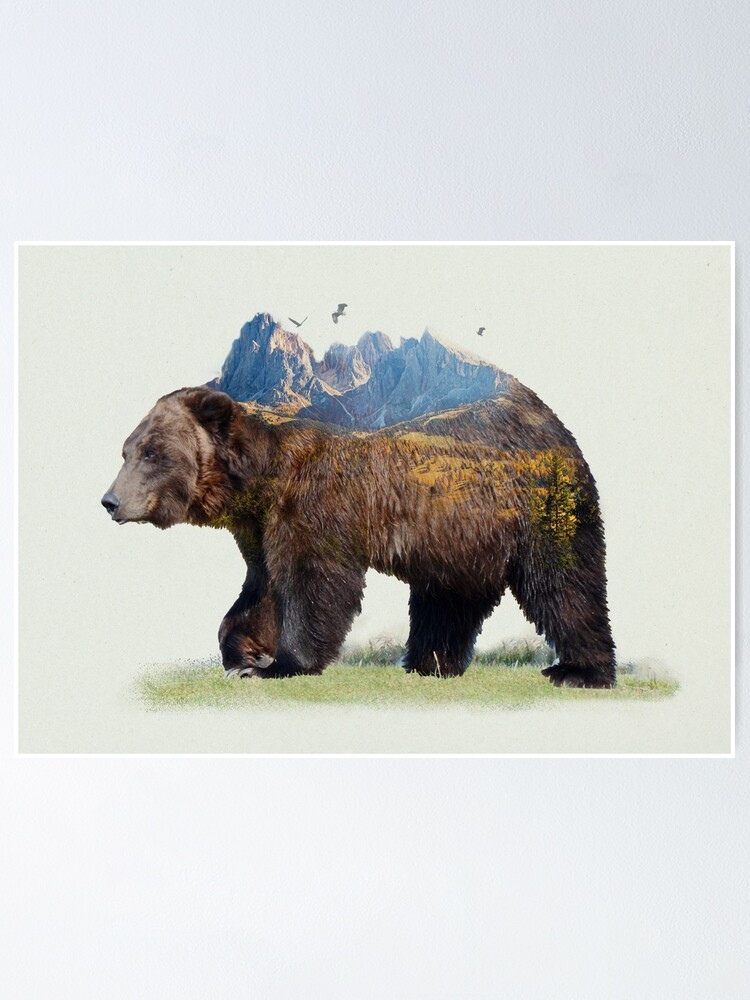 Brown bear fur texture Wall Mural