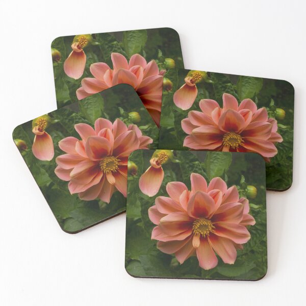 Item preview, The Pink Dahlia designed and sold by OTurnbullPhoto.