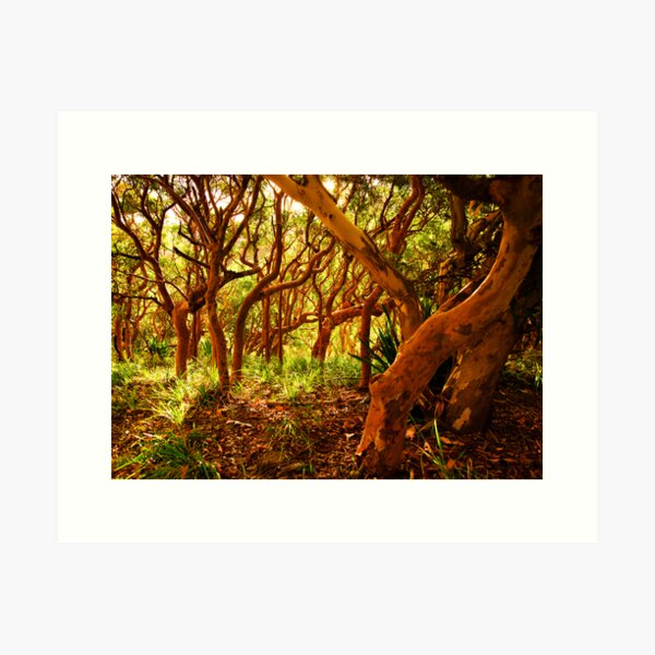 Item preview, If You Would But Bend designed and sold by Geoff  Coleman - Landscapes.