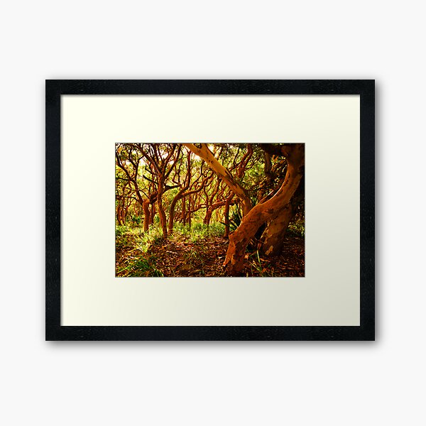 Item preview, If You Would But Bend designed and sold by Geoff  Coleman - Landscapes.