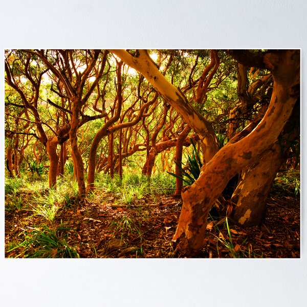 Item preview, If You Would But Bend designed and sold by Geoff  Coleman - Landscapes.