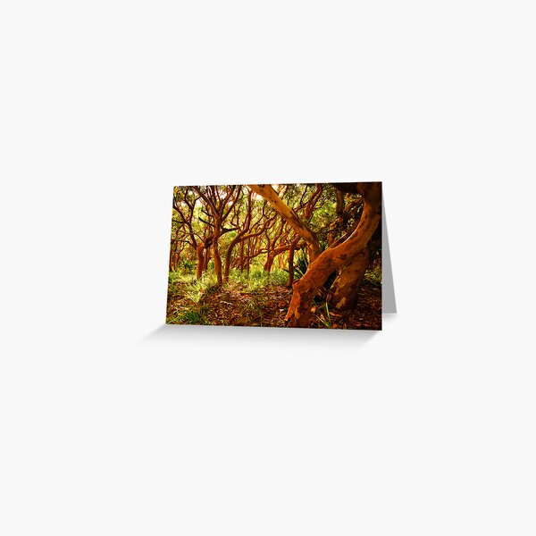 Item preview, If You Would But Bend designed and sold by Geoff  Coleman - Landscapes.