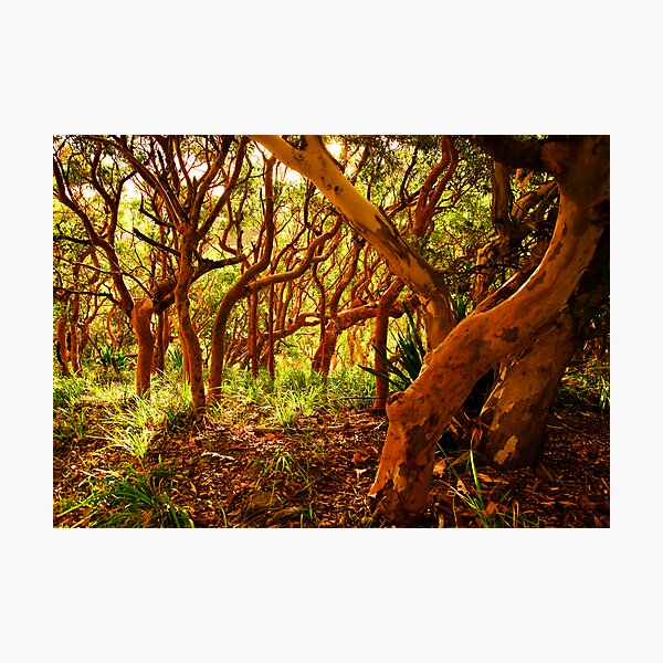 Item preview, If You Would But Bend designed and sold by Geoff  Coleman - Landscapes.