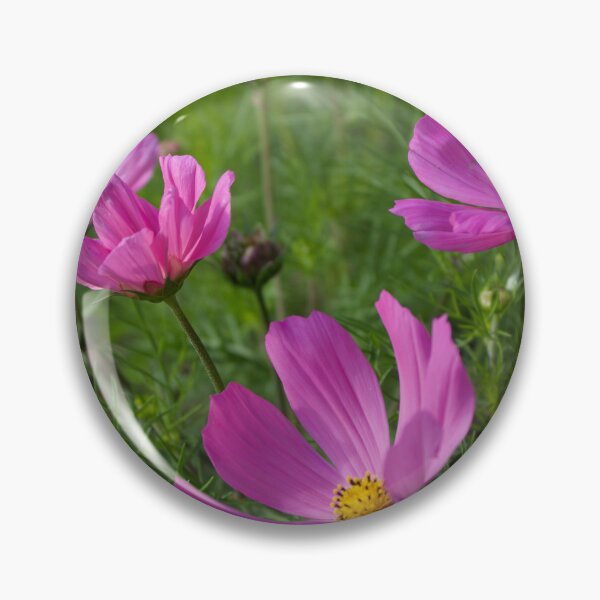 Item preview, Purple Garden Cosmos designed and sold by OTurnbullPhoto.