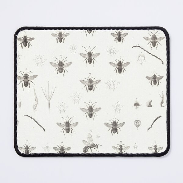 Item preview, Vintage Bees Species Illustrative Diagram (1826) designed and sold by BravuraMedia.