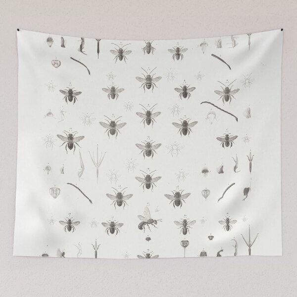 Item preview, Vintage Bees Species Illustrative Diagram (1826) designed and sold by BravuraMedia.