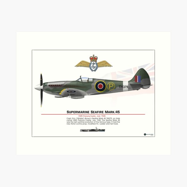 Seafire Mark 45 Prototype Art Print