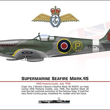 Artwork thumbnail, Seafire Mark 45 Prototype by TheCollectioner
