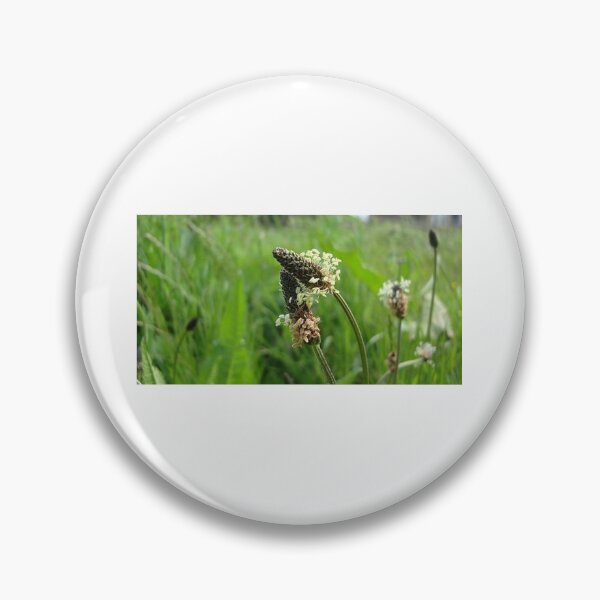 Item preview, Grasses designed and sold by Shimmy53.