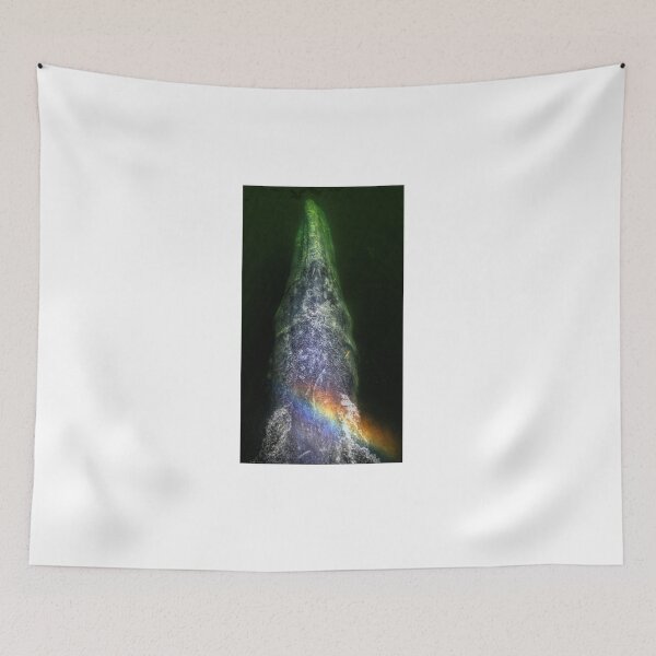Item preview, Gray Torpedo designed and sold by James (820Photography) Anderson.