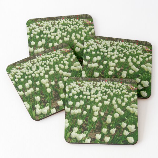 Item preview, White Tulips designed and sold by Shulie1.