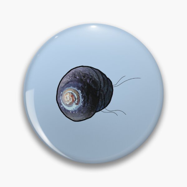 Item preview, Turban snail designed and sold by Seatheocean.