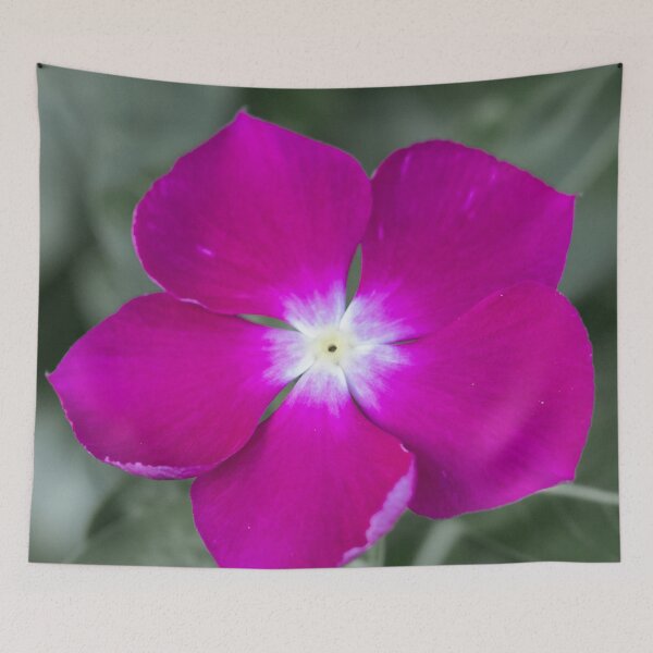 Item preview, Madagascar Periwinkle designed and sold by Jacquiamber.