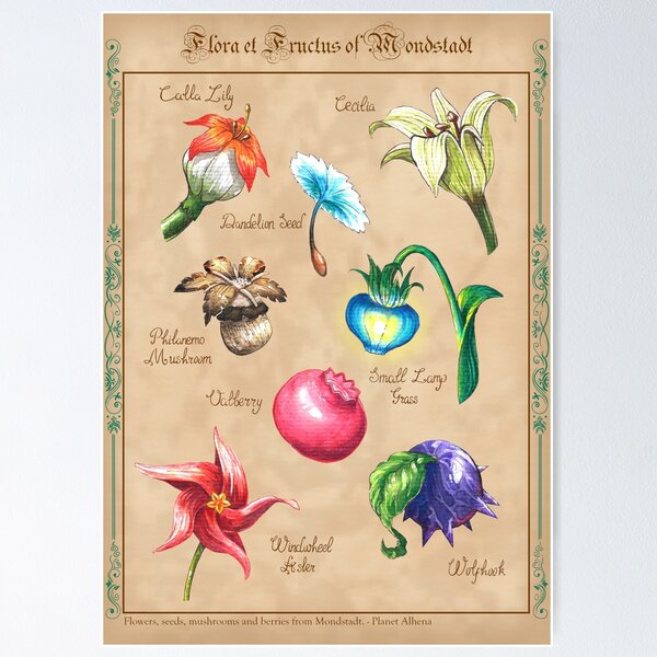 Item preview, Flore et Fructus - Mondstadt designed and sold by Planet Alhena.