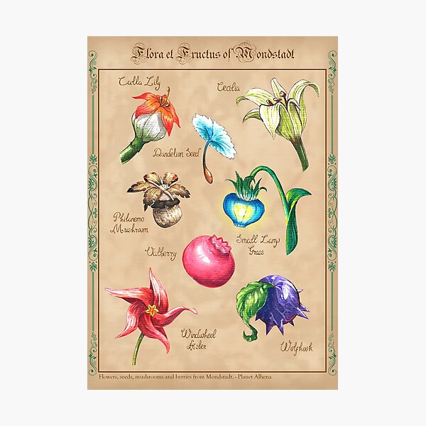 Item preview, Flore et Fructus - Mondstadt designed and sold by Planet Alhena.