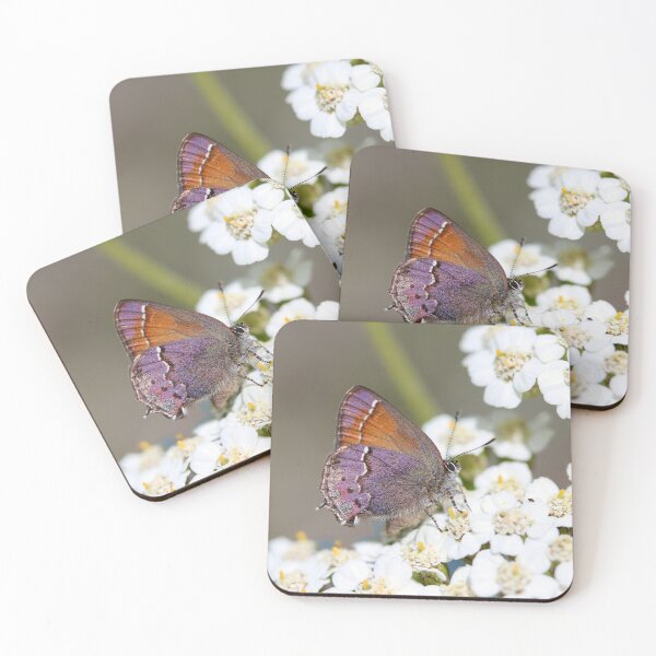 Item preview, Muir's hairstreak on Yarrow designed and sold by Emmaline Jones.