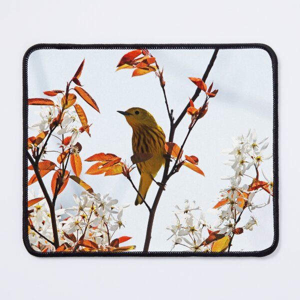 Item preview, Yellow Warbler designed and sold by Debbie Oppermann.